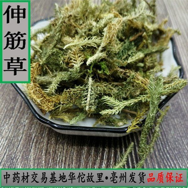 中药材 野生伸筋草 舒筋草 透骨草泡脚新鲜 伸筋草粉 500g克包邮