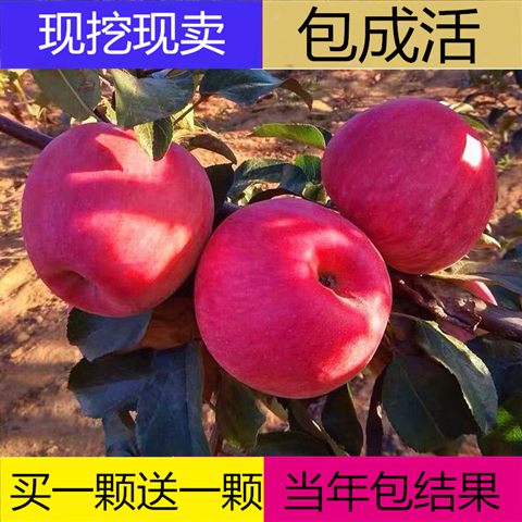 7a5ef95bf5f12c458a9a053634aef73e.png