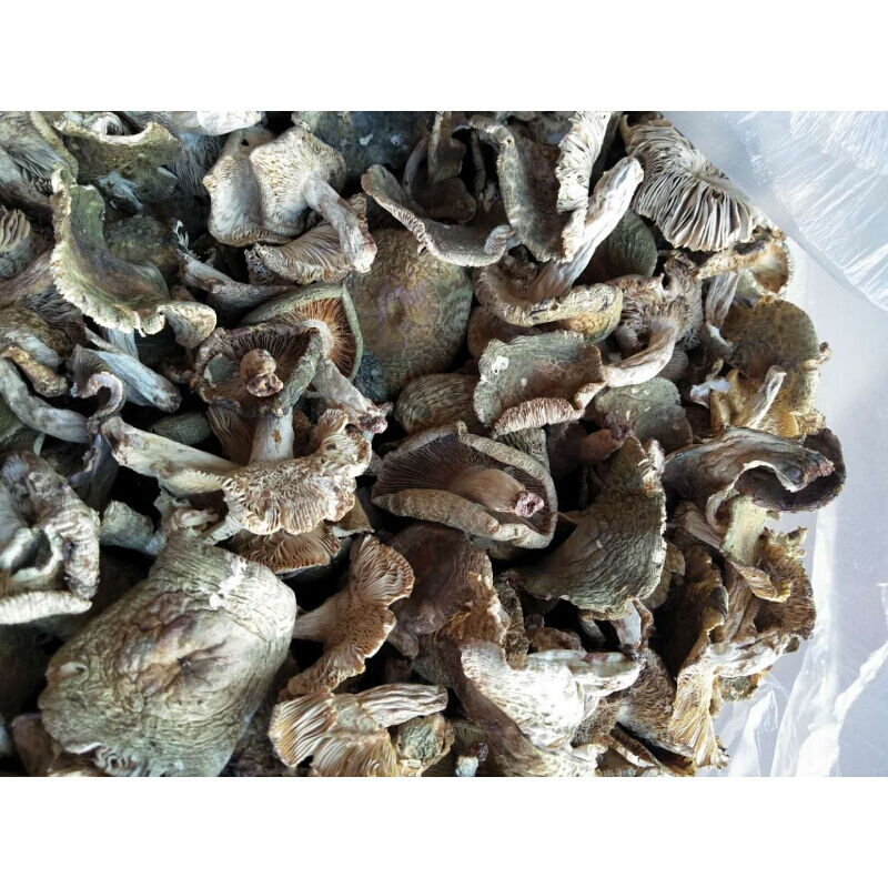 500g云南特产生菌青头菇干货绿豆菌食用干蘑菇杂菌子农家菌年货