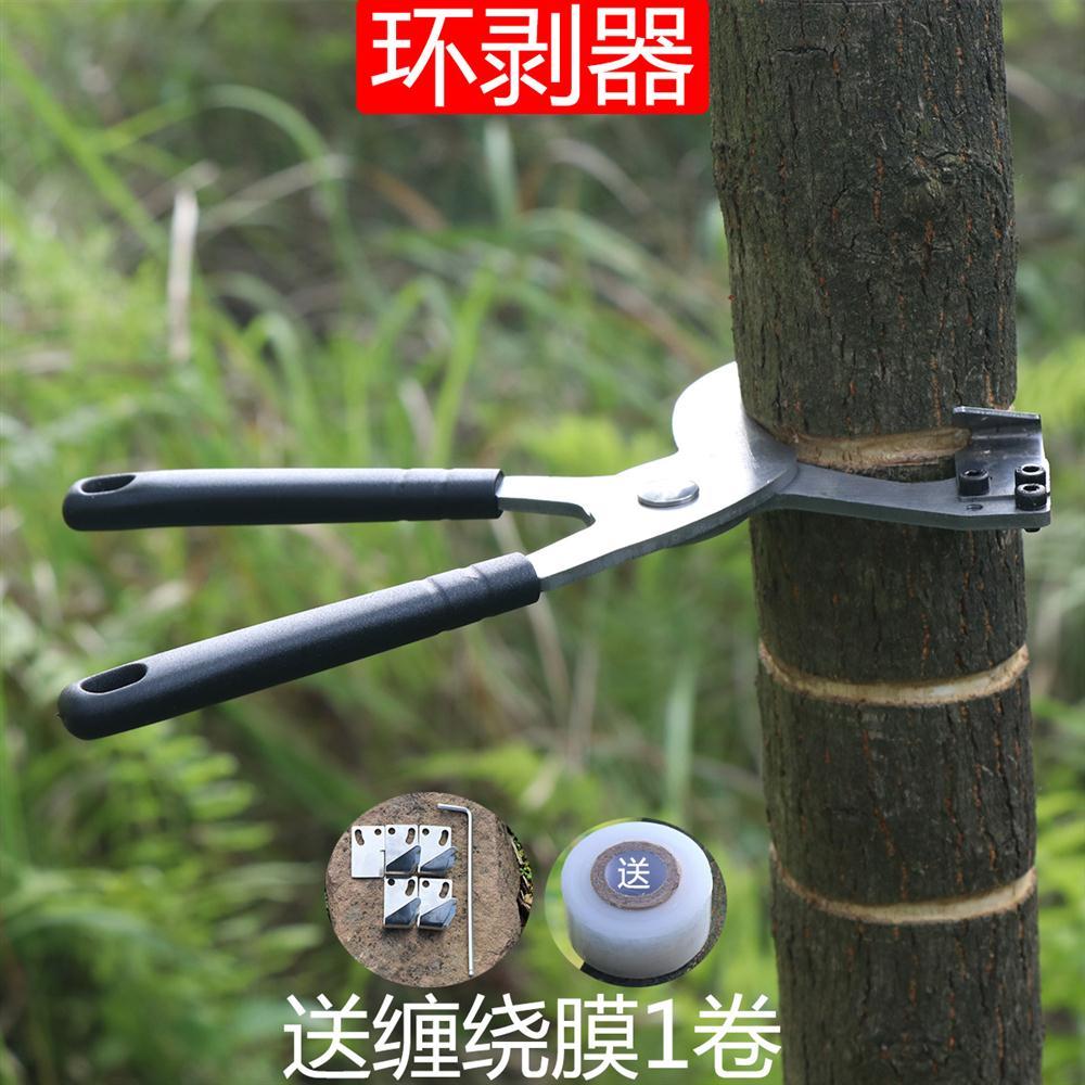 新型果树可调节环割刀柚子树环剥刀环剥钳枣树割树皮蜜柚开甲器