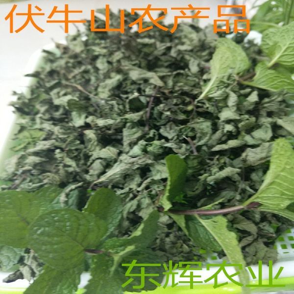 河南特产十香菜干石香菜麝香菜蒜汁藿香捞面条茴香菜新鲜500g