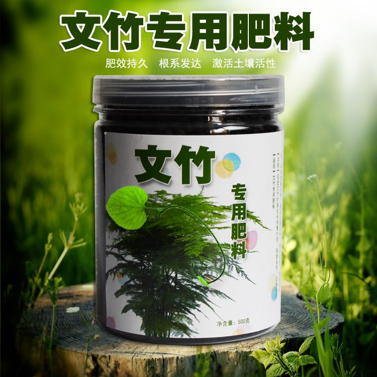 文竹专用肥料土培营养液植物肥有机肥文竹云竹富贵竹棕竹专用花肥