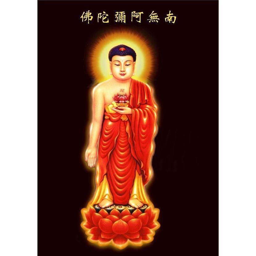 净土南无阿弥陀佛佛像结缘佛菩萨画像画像站相纸双面塑封