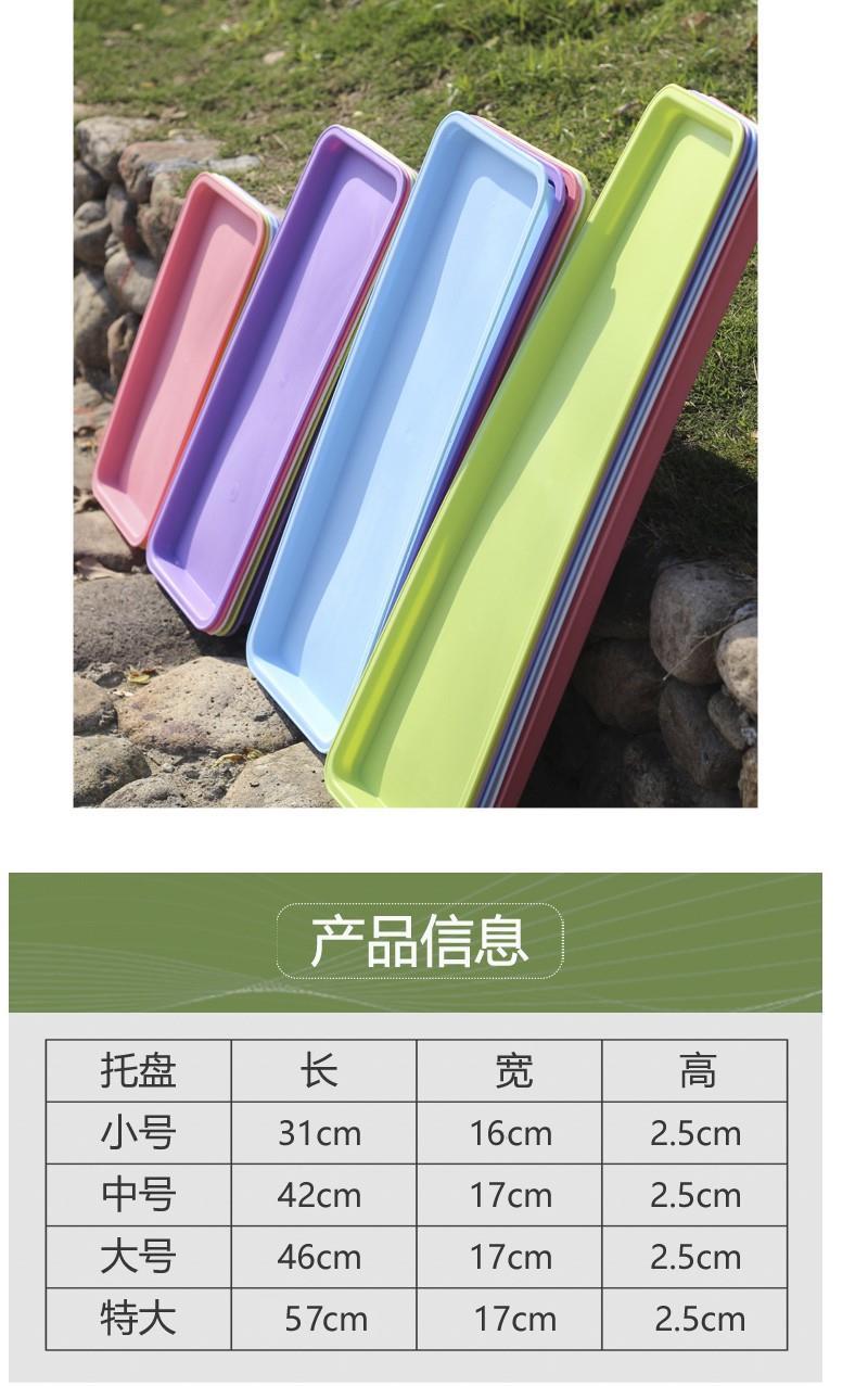 大水盤 [長方形] 31cm×50cm