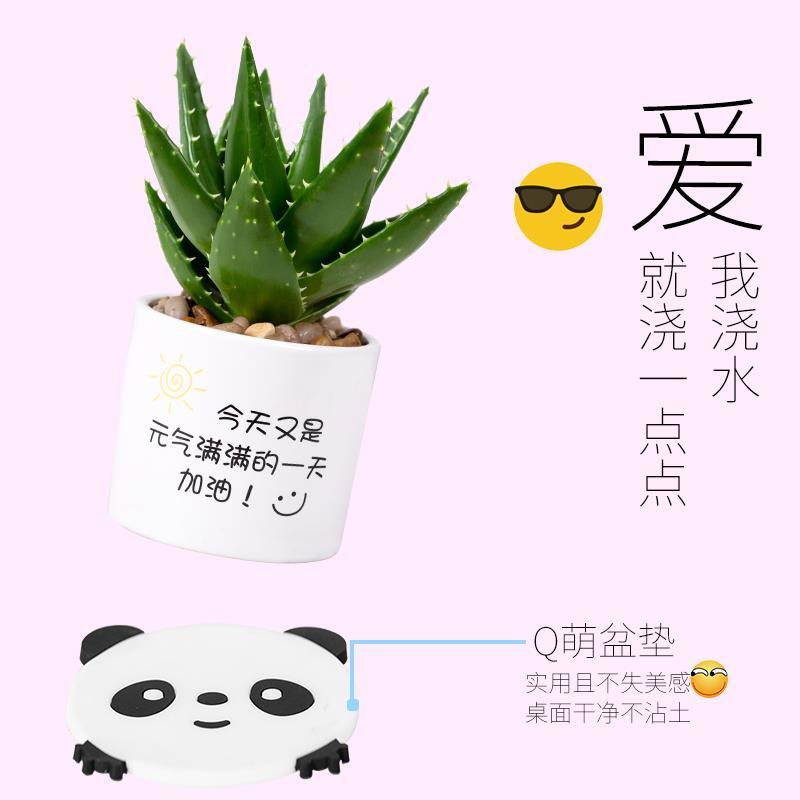 4c263f6cf3324c3061b9459dadc7981d.jpeg