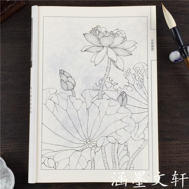 中国画线描 百荷画谱 线描白描画谱 零基础绘画白描画稿荷花雕刻【2月