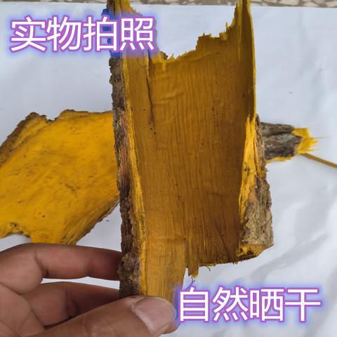 陕西秦岭野生黄柏皮中药材黄柏劈皮川黄柏劈木黄柏皮500克包邮