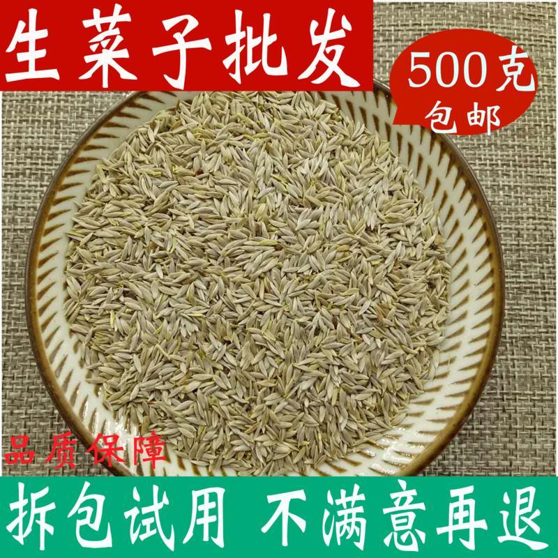 生菜籽包邮 500g生菜子籽可粉免邮补钙接骨包邮店铺有黄瓜籽