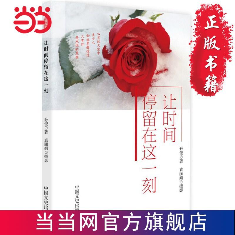 让时间停留在这一刻 当当 书 正版