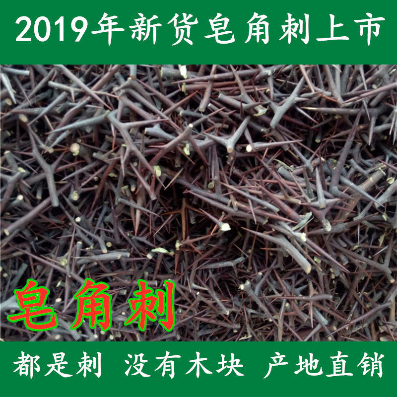 中药材天然皂角刺 正品大刺皂 荚刺 皂刺 天丁 皂角针100克包邮