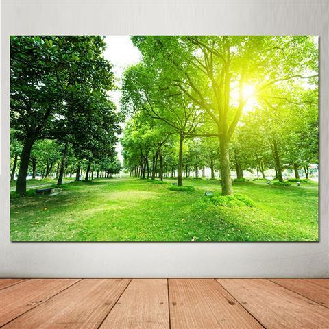 绿色大树挂画阳光透过大树的贴画护眼壁纸绿色森林海报风景壁画