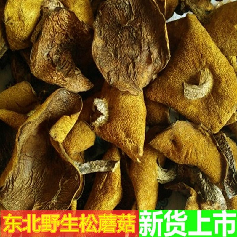 东北特产野生松蘑菇松菇粘蛾子松蛾粘团子松蘑干货黄牛肝菌500克