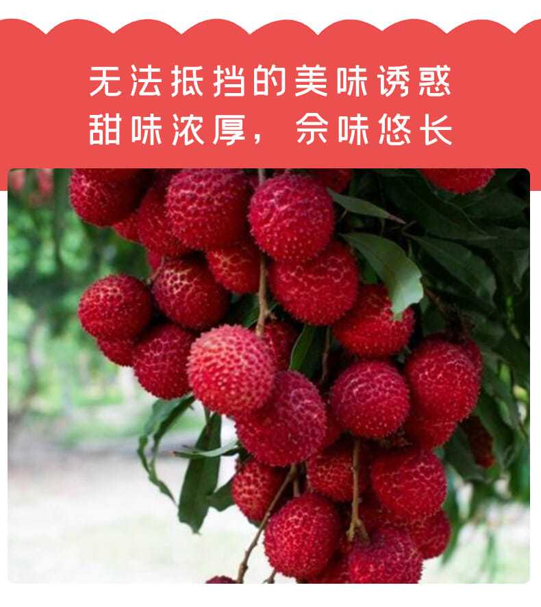 大红袍荔枝非妃子笑桂味当季新鲜冷冻水果