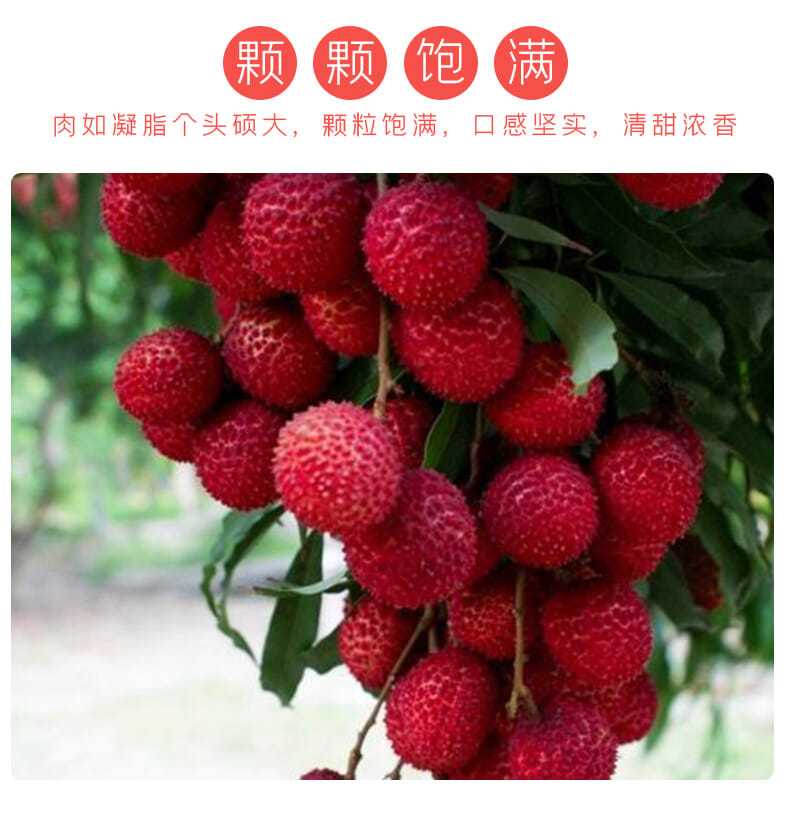 大红袍荔枝非妃子笑桂味当季新鲜冷冻水果