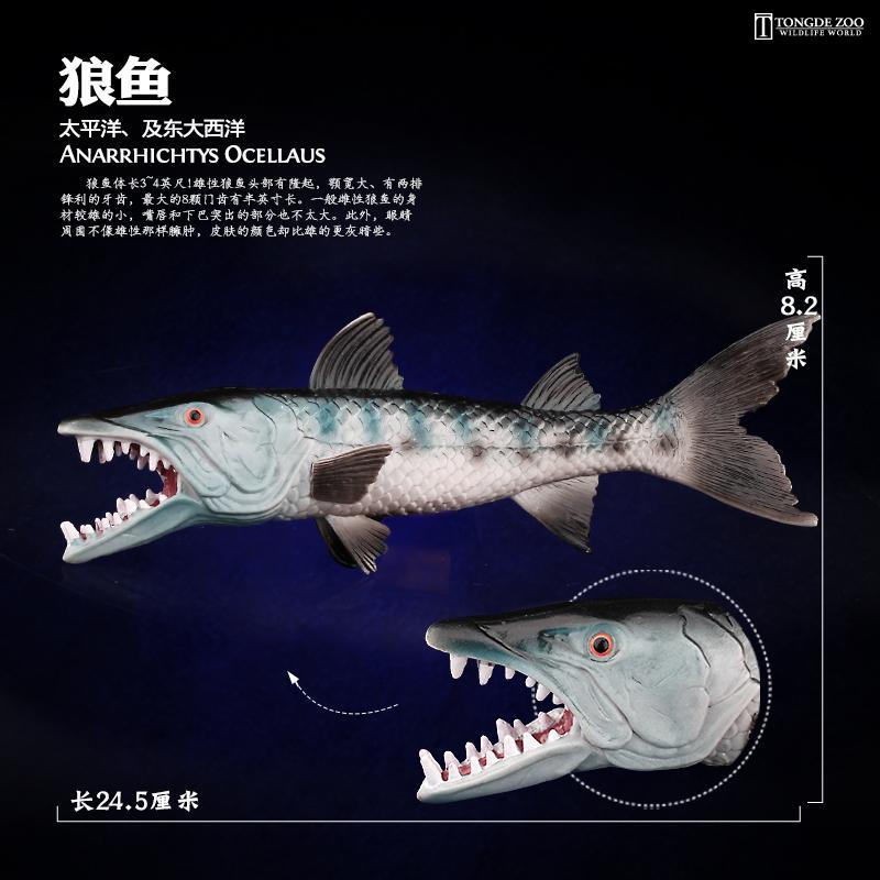 童德狼鱼模型实心仿真海洋动物生物玩具海狼鱼梭鱼儿童认知