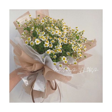 上海鲜花速递抖音网红文艺洋甘菊小雏菊桔梗花束杭州天津同城花店