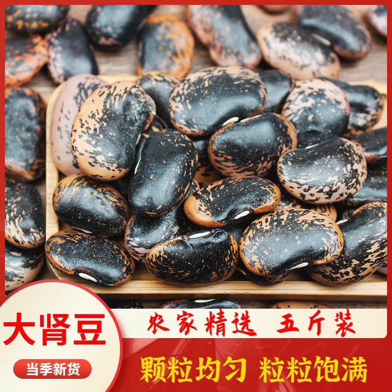 新大黑花芸豆5斤1斤 云南农家特产肾豆大花豆牛眼豆五谷杂粮包邮