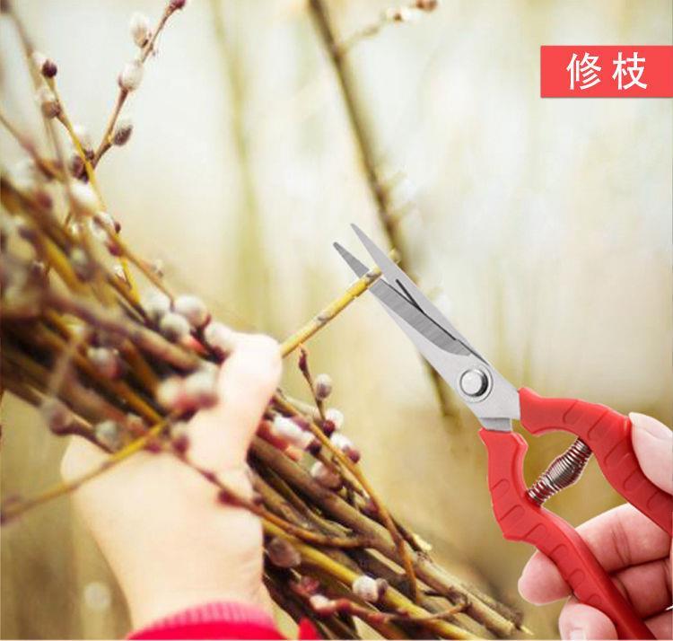 修树枝剪刀不锈钢花园艺工具农用疏果插花剪摘果神器强力剪枝套装