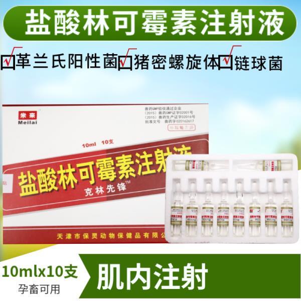 克林先锋兽药盐酸林可霉素注射用液针剂咳嗽消炎药猪牛羊肺炎气喘