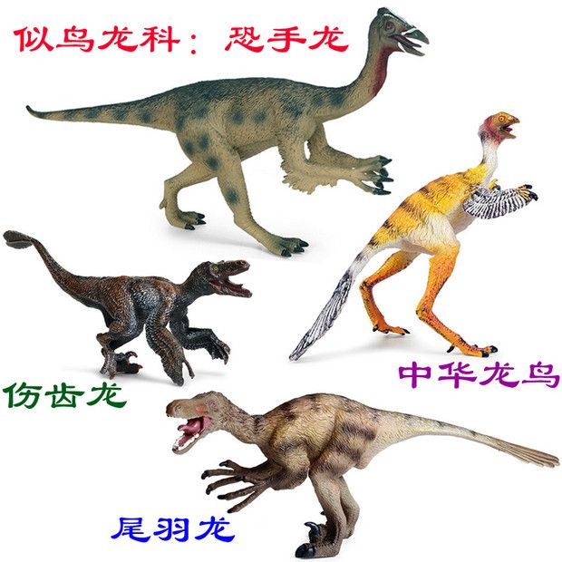 硬塑料似鸟龙科恐龙恐手龙伤齿龙仿真模型尾羽龙中华龙鸟儿童玩具