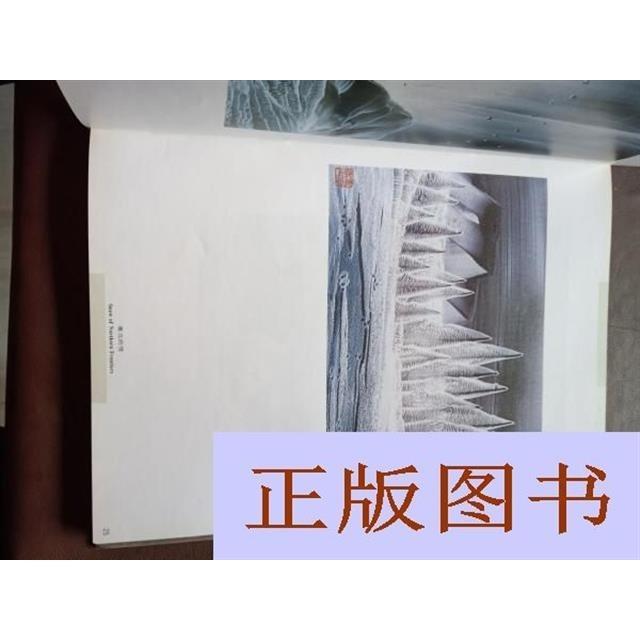 正版书籍 杨守炉无笔画集/陶有法
