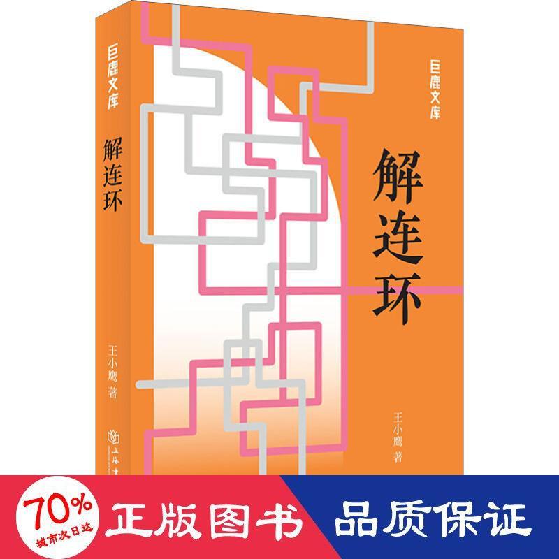 解连环 现当代文学 王小鹰 新华正版