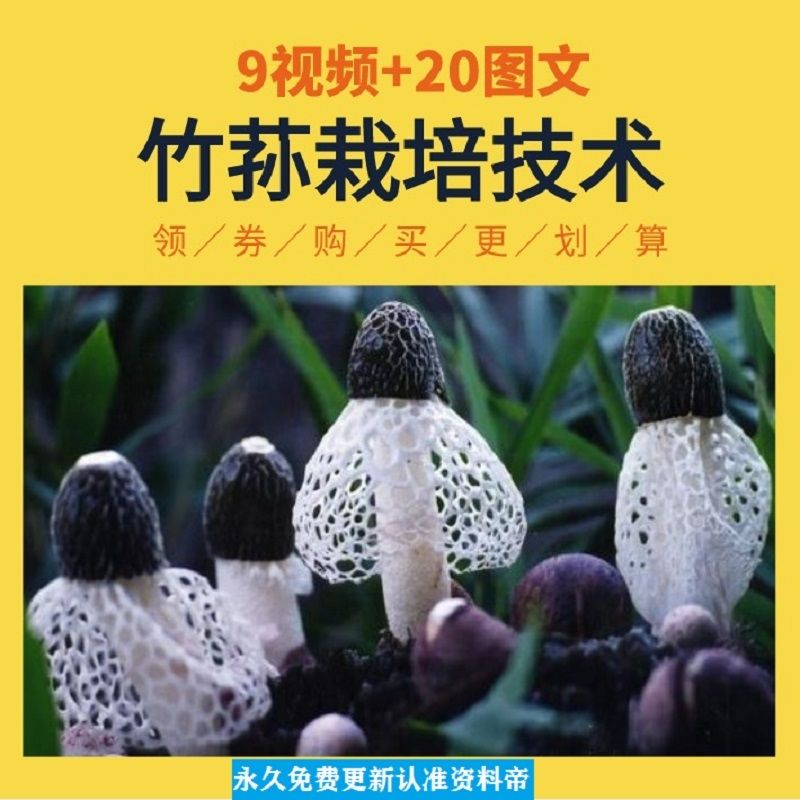 竹荪栽培技术视频教程加人工大棚管理无公害标准化全套种植教学