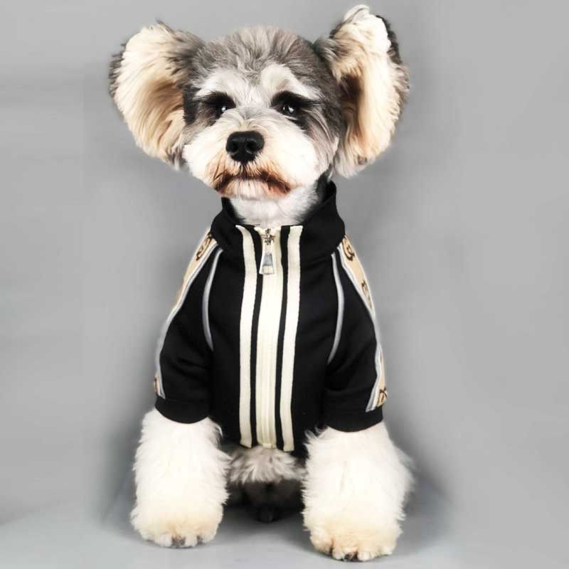 狗衣服春秋新款卫衣夏泰迪雪纳瑞柯基柴犬小狗狗宠物衣服潮牌