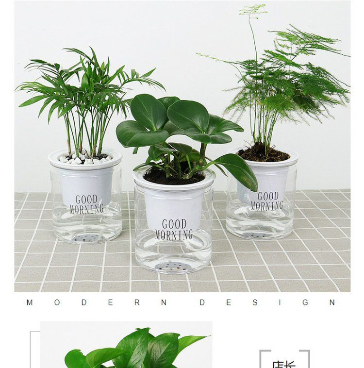 懒人花盆自吸水绿萝水培树脂塑料材料透明多肉盆栽绿植物兰花花盆