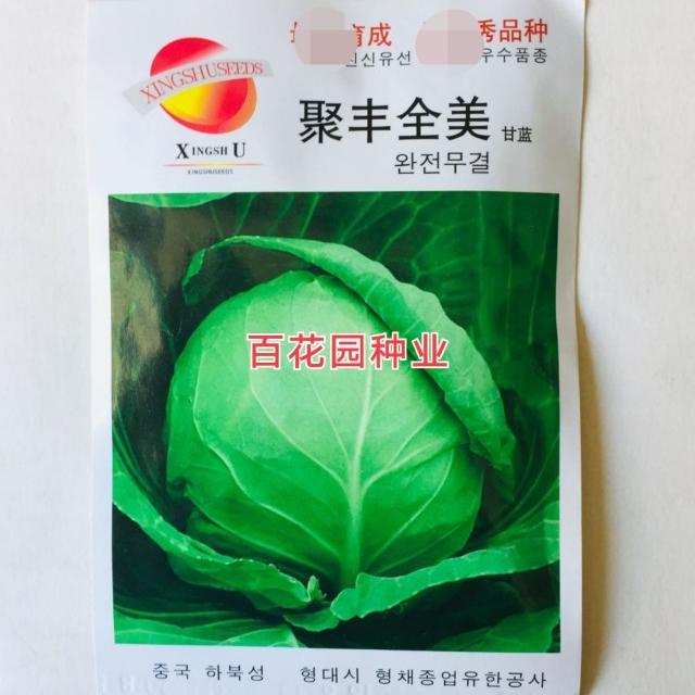 聚丰全美早熟春甘蓝种子包心蔬菜孑籽绿色经典耐裂圆球形甘蓝高产