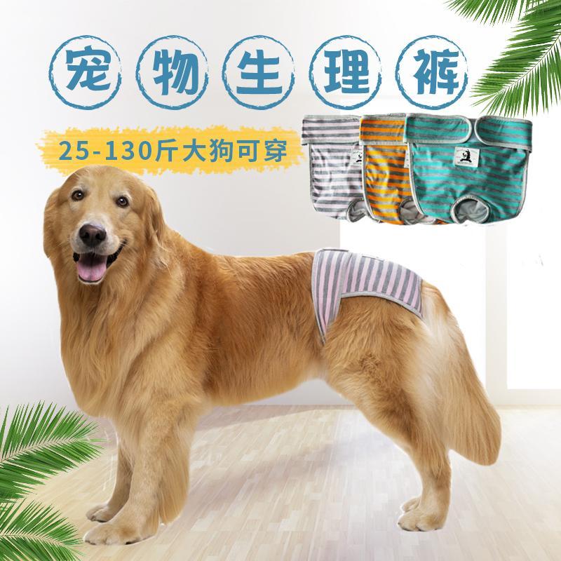 大狗生理裤拉布拉多金毛中大型犬母狗月经裤狗狗防骚扰宠物安全裤
