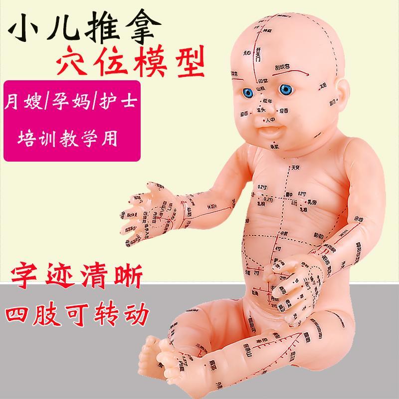 50cm小儿推拿穴位模型培训娃娃带穴位按摩婴儿中医人体经络用全身