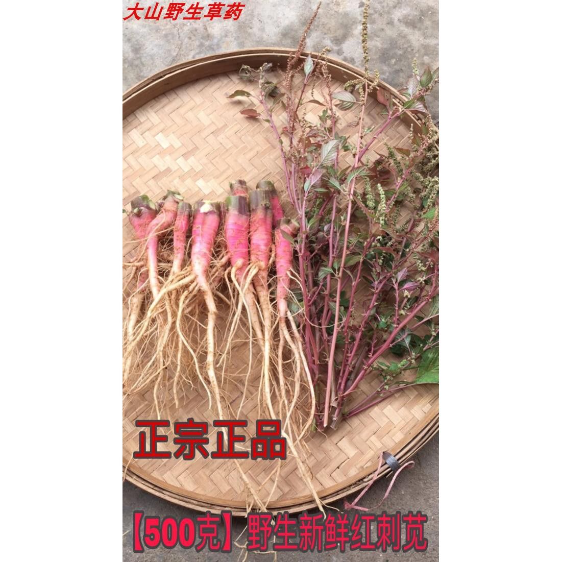野生新鲜带刺刺苋根红刺苋根红菜头假苋菜猪母菜勒苋菜根500包邮