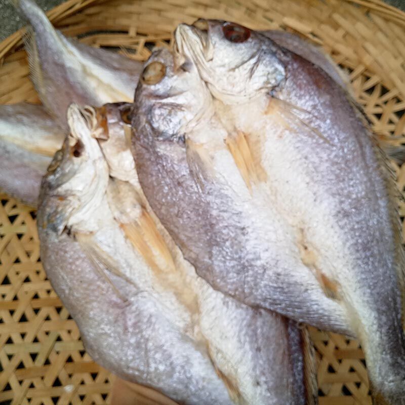 宁波特产黄姑鱼白米鱼白姑子鱼白果子微咸鱼干类似黄鱼鲞500g