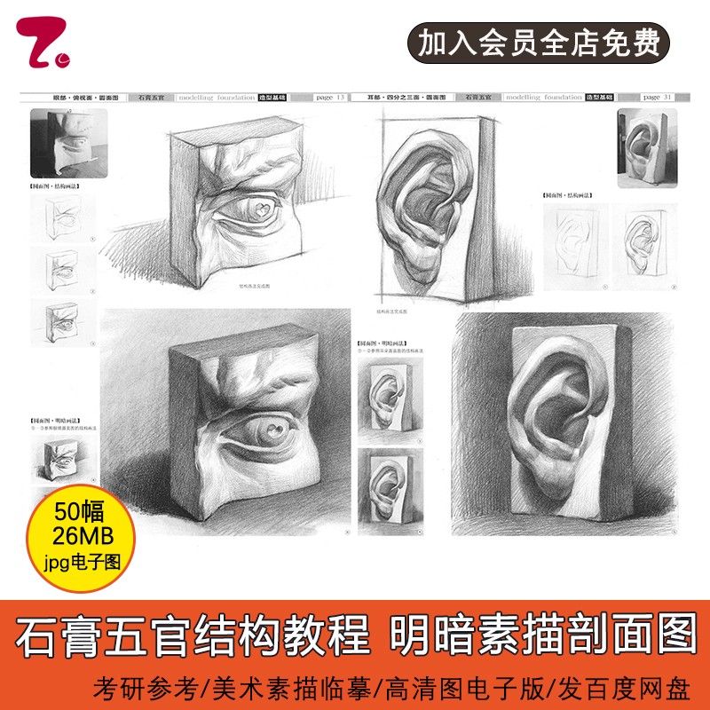 石膏五官素描石膏头像素描剖面图眼睛鼻子嘴巴耳朵素描教程电子图