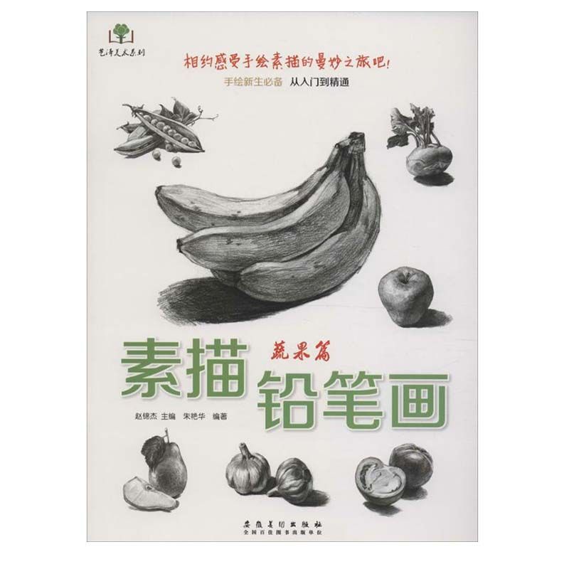 正版 素描铅笔画 蔬果篇 一支笔 一张纸 体验素描的轻松和愉悦 艺