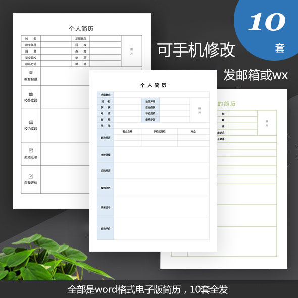 简历表格电子版个人简历模板下载空白简历手机可制作