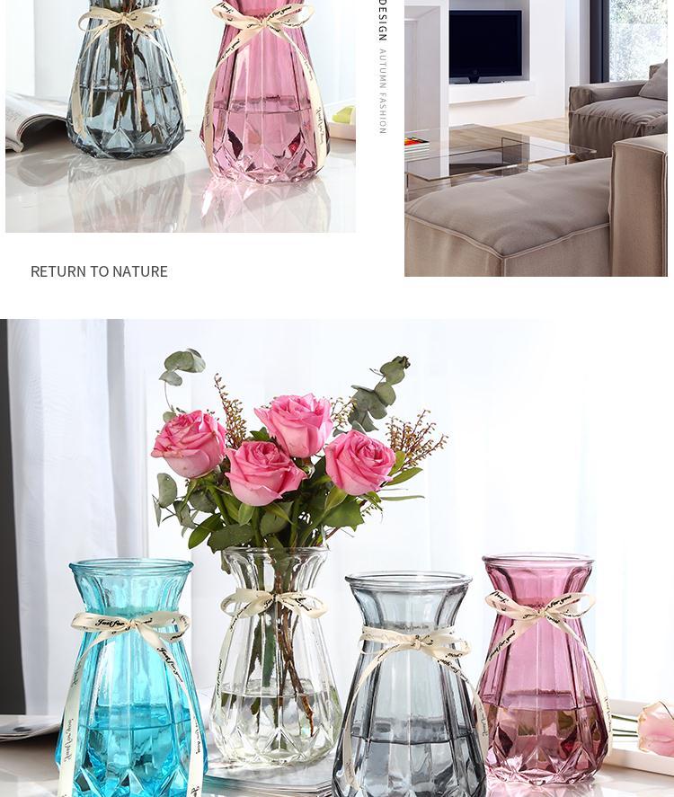 创意花瓶玻璃透明水养客厅摆件鲜花插花瓶北欧简约富贵竹干花花瓶