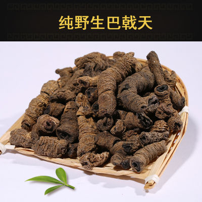 正版世实用肠扁虫病学