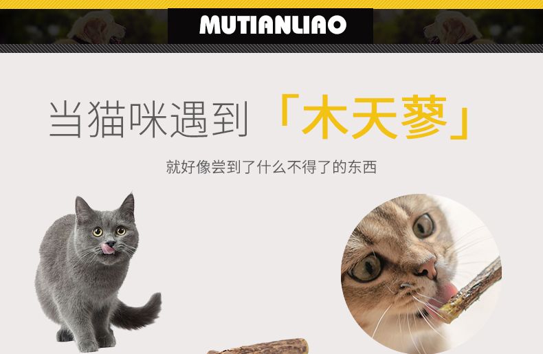 【买一送一】木天蓼棒猫咪零食用品幼猫磨牙棒洁齿棒猫薄荷猫玩具