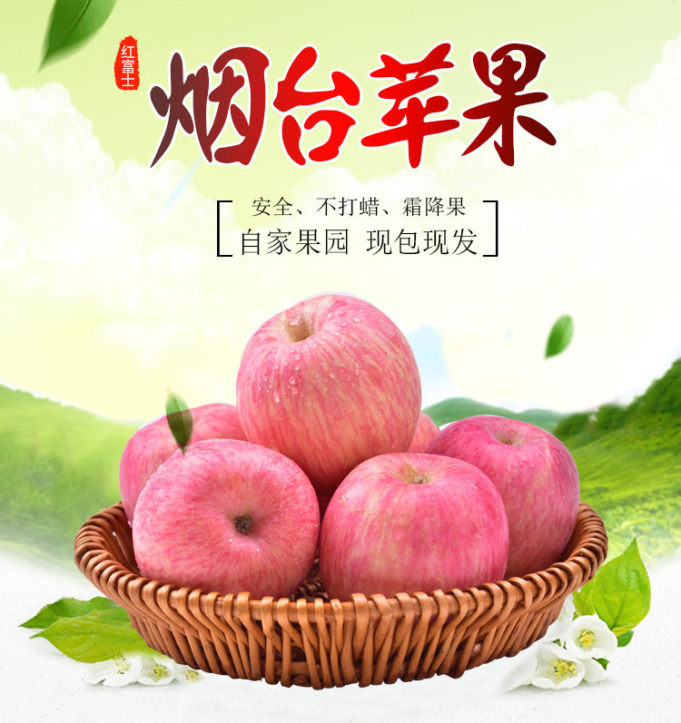 新鲜苹果烟台苹果烟台红富士苹果山东烟台红富士苹果3/5/9/10斤