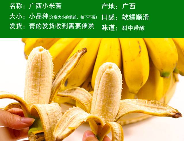 【25.8元泡沫箱精选】广西小米蕉10/5/1斤新鲜香蕉当季水果整箱皇帝蕉【博莱生活馆】