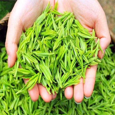 明禹2018新茶叶绿茶500g绿茶云雾日照绿茶毛尖茶浓香耐泡茶包邮