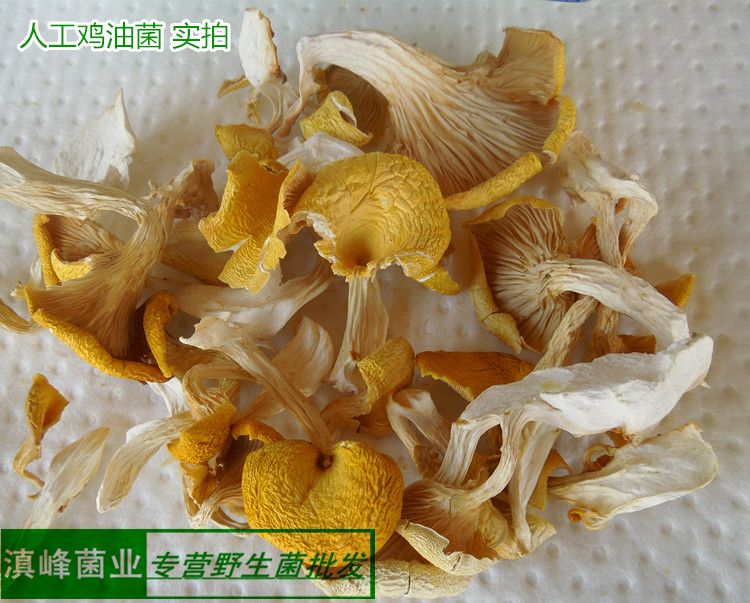 新货鸡油菌干货云南非野生菌土特产蘑菇菌菇汤