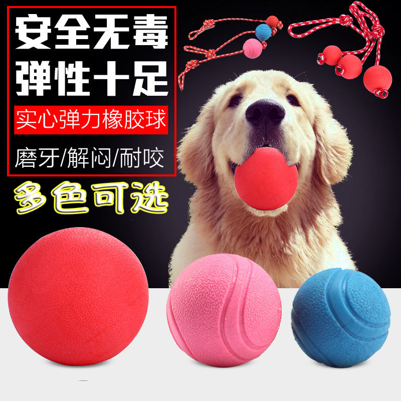 Pet dog toy ball bite resistant teeth tease dog elastic ball Teddy Samoye rubber solid rope training ball