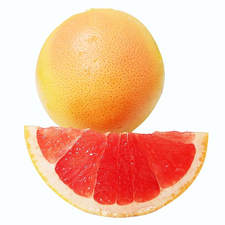 ab2dafd10d73e598385326643c566fdf.jpeg