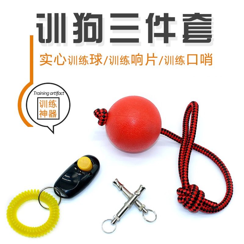 Pet dog toy ball horse biting dog elastic ball dog training equipment